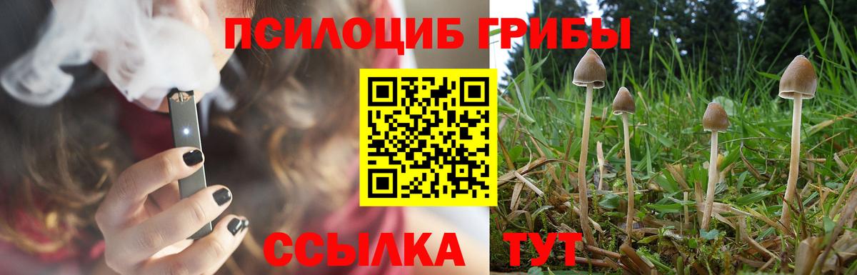 Псилоцибиновые грибы Magic Shrooms Ливны