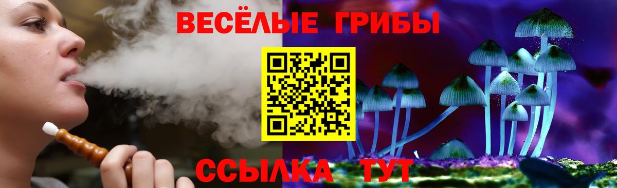 Ливны  Псилоцибиновые грибы GOLDEN TEACHER  Вход с VPN 